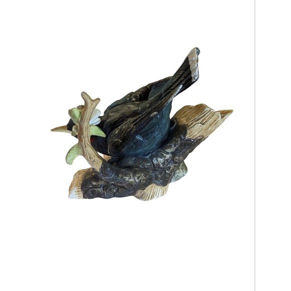 Vintage Aldon Vanished Species Porcelain “Huias Heteralocha” Figurine Great Cond - Picture 4 of 6